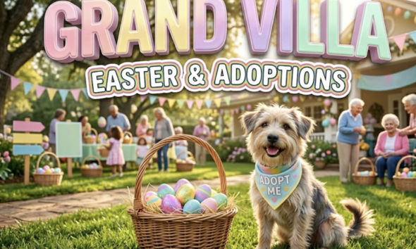 A viral, hyper-realistic YouTube thumbnail with a heartwarming community atmosphere. The background is a sunlit outdoor lawn at an assisted living facility decorated with pastel Easter banners and colorful egg hunt stations, with soft golden hour lighting filtering through trees. The composition uses a wide-angle establishing shot to focus on the main subject: a wicker Easter basket overflowing with bright eggs positioned next to an adorable rescue dog wearing a pastel adoption bandana. Image size should be 3:2. The image features massive 3D typography with strict hierarchy: The Primary Text reads exactly: 'GRAND VILLA'. This text is massive, the largest element in the frame, rendered in glossy pastel gradient material with soft spring colors (pink, yellow, lavender) to look like a high-budget 3D render. The Secondary Text reads exactly: 'EASTER & ADOPTIONS'. This text is significantly smaller, positioned below the main text. It features a thick, distinct white border with a subtle rainbow outline (sticker style) to contrast against the background. Make sure text 2 is always different theme, style, effect and border compared to text 1. The text materials correspond to the story's concept. Crucial Instruction: There is absolutely NO other text, numbers, watermarks, or subtitles in this image other than these two specific lines. 8k, Unreal Engine 5, cinematic rende
