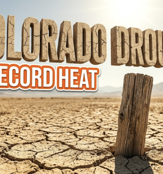 A viral, hyper-realistic YouTube thumbnail with a tense, arid atmosphere. The background is a vast, dry agricultural field with harsh, blinding sunlight. The composition uses a low angle to focus on the main subject: a highly detailed, weathered, faceless wooden farm fence post. Image size should be 3:2. The image features massive 3D typography with strict hierarchy: The Primary Text reads exactly: 'COLORADO DROUGHT'. This text is massive, the largest element in the frame, rendered in dry, cracked desert stone material to look like a high-budget 3D render. The Secondary Text reads exactly: 'RECORD HEAT'. This text is significantly smaller, positioned below the main text. It features a thick, bright orange color border to contrast against the background. Make sure text 2 is always different theme, style, effect and border compared to text 1. The text materials correspond to the story's concept. Crucial Instruction: There is absolutely NO other text, numbers, watermarks, or subtitles in this image other than these two specific lines. 8k, Unreal Engine 5, cinematic render.