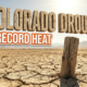A viral, hyper-realistic YouTube thumbnail with a tense, arid atmosphere. The background is a vast, dry agricultural field with harsh, blinding sunlight. The composition uses a low angle to focus on the main subject: a highly detailed, weathered, faceless wooden farm fence post. Image size should be 3:2. The image features massive 3D typography with strict hierarchy: The Primary Text reads exactly: 'COLORADO DROUGHT'. This text is massive, the largest element in the frame, rendered in dry, cracked desert stone material to look like a high-budget 3D render. The Secondary Text reads exactly: 'RECORD HEAT'. This text is significantly smaller, positioned below the main text. It features a thick, bright orange color border to contrast against the background. Make sure text 2 is always different theme, style, effect and border compared to text 1. The text materials correspond to the story's concept. Crucial Instruction: There is absolutely NO other text, numbers, watermarks, or subtitles in this image other than these two specific lines. 8k, Unreal Engine 5, cinematic render.