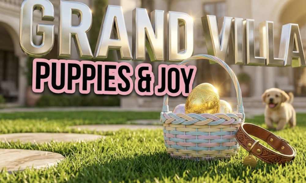 A viral, hyper-realistic YouTube thumbnail with a Lifestyle and uplifting atmosphere. The background is a sunny, manicured outdoor courtyard with vibrant green grass and soft, warm sunlight. The composition uses a low angle to focus on the main subject: a highly detailed, bright golden Easter egg resting in a woven pastel basket next to a leather dog collar. Image size should be 3:2. The image features massive 3D typography with strict hierarchy: The Primary Text reads exactly: 'GRAND VILLA'. This text is massive, the largest element in the frame, rendered in shiny chrome material to look like a high-budget 3D render. The Secondary Text reads exactly: 'PUPPIES & JOY'. This text is significantly smaller, positioned below or next to the main text. It features a thick, distinct pink border outline sticker style to contrast against the background. The text materials correspond to the story's concept. Crucial Instruction: There is absolutely NO other text, numbers, watermarks, or subtitles in this image other than these two specific lines. 8k, Unreal Engine 5, cinematic render.