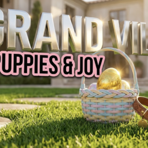 Grand Villa Easter Event Unites Seniors and Rescue Dogs