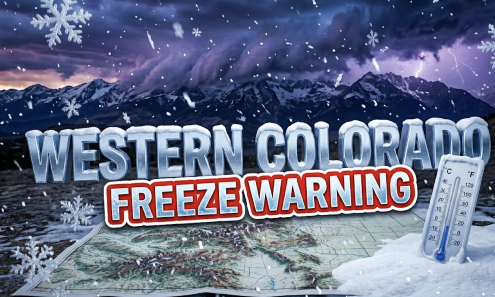 A viral, hyper-realistic YouTube thumbnail with a dramatic mountain weather atmosphere. The background is a sweeping Colorado mountain landscape at dusk with dark storm clouds rolling over snow-capped peaks, illuminated by dramatic purple and blue lighting with occasional lightning strikes in the distance. The composition uses a wide-angle low angle to focus on the main subject: massive snowflakes falling over a detailed topographic mountain range with a thermometer showing freezing temperatures embedded in fresh snow. Image size should be 3:2. The image features massive 3D typography with strict hierarchy: The Primary Text reads exactly: 'WESTERN COLORADO'. This text is massive, the largest element in the frame, rendered in Icy Chrome with realistic snow accumulation on the letters to look like a high-budget 3D render. The Secondary Text reads exactly: 'FREEZE WARNING'. This text is significantly smaller, positioned below the main text. It features a thick, distinct red and white border/outline (sticker style) with a frost effect to contrast against the background. Make sure text 2 is always different theme, style, effect and border compared to text 1. The text materials correspond to the story's concept. Crucial Instruction: There is absolutely NO other text, numbers, watermarks, or subtitles in this image other than these two specific lines. 8k, Unreal Engine 5, cinematic render.