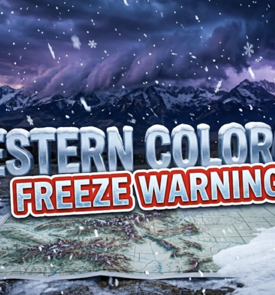 A viral, hyper-realistic YouTube thumbnail with a dramatic mountain weather atmosphere. The background is a sweeping Colorado mountain landscape at dusk with dark storm clouds rolling over snow-capped peaks, illuminated by dramatic purple and blue lighting with occasional lightning strikes in the distance. The composition uses a wide-angle low angle to focus on the main subject: massive snowflakes falling over a detailed topographic mountain range with a thermometer showing freezing temperatures embedded in fresh snow. Image size should be 3:2. The image features massive 3D typography with strict hierarchy: The Primary Text reads exactly: 'WESTERN COLORADO'. This text is massive, the largest element in the frame, rendered in Icy Chrome with realistic snow accumulation on the letters to look like a high-budget 3D render. The Secondary Text reads exactly: 'FREEZE WARNING'. This text is significantly smaller, positioned below the main text. It features a thick, distinct red and white border/outline (sticker style) with a frost effect to contrast against the background. Make sure text 2 is always different theme, style, effect and border compared to text 1. The text materials correspond to the story's concept. Crucial Instruction: There is absolutely NO other text, numbers, watermarks, or subtitles in this image other than these two specific lines. 8k, Unreal Engine 5, cinematic render.