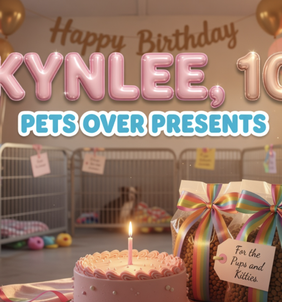 fourth grader donates birthday gifts to Indiana animal shelter