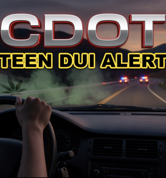 Colorado teen driver cannabis DUI warning campaign
