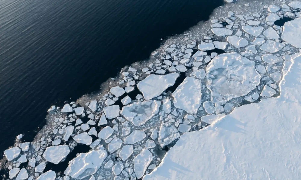 Antarctic marginal ice zone where Southern Ocean swell fractures the outer sea ice into floes.