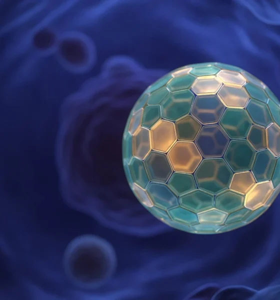 Computational design of quasisymmetric protein cage for gene therapy delivery.