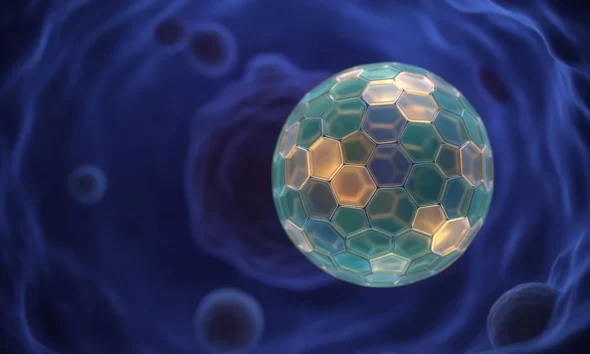 Computational design of quasisymmetric protein cage for gene therapy delivery.