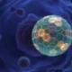 Computational design of quasisymmetric protein cage for gene therapy delivery.