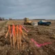 Minnesota court halts Google Pine Island data center over environmental review challenge.