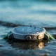 Pixel Watch 5 ocean leak points to Snapdragon Wear Elite chip upgrade.