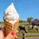 Braum's National Ice Cream Day 2026 discount cone prices Oklahoma