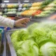Cyclospora outbreak causes Americans to avoid fresh produce and vegetables