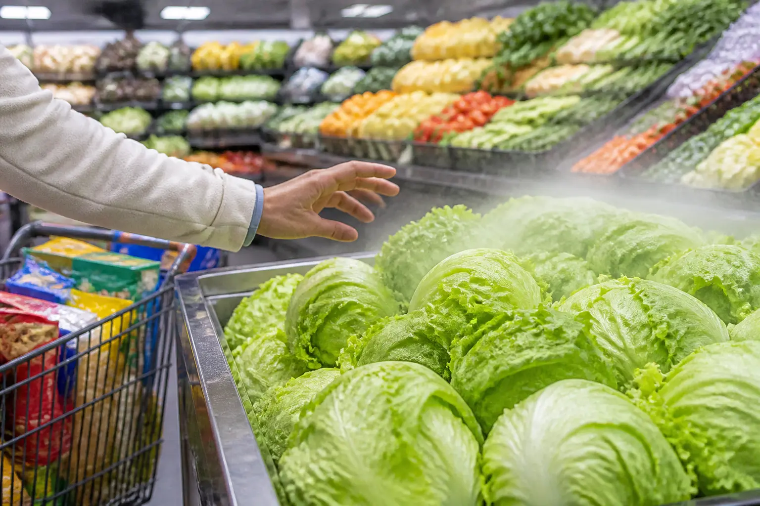 Cyclospora outbreak causes Americans to avoid fresh produce and vegetables