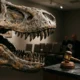Gus T Rex Sotheby's Auction Record Price South Dakota Fossil