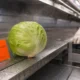 Iowa cyclosporiasis cases linked to national lettuce recall outbreak