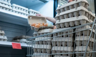 Kroger and Brookshire's eggs recalled over salmonella contamination risk