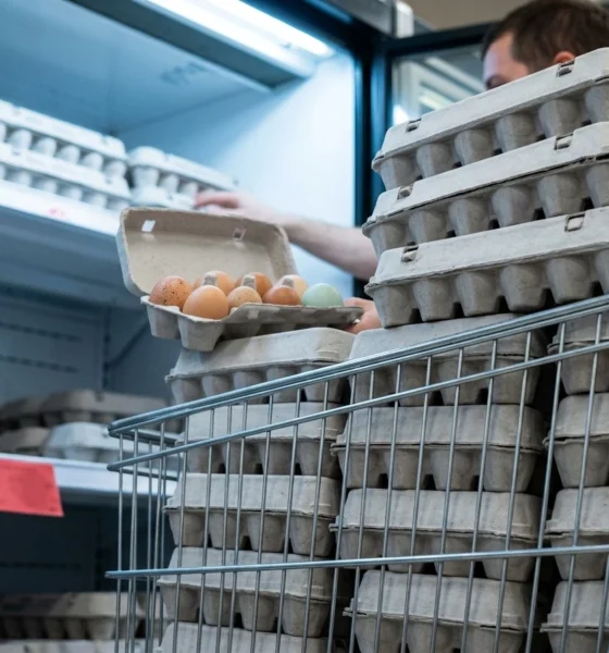 Kroger and Brookshire's eggs recalled over salmonella contamination risk