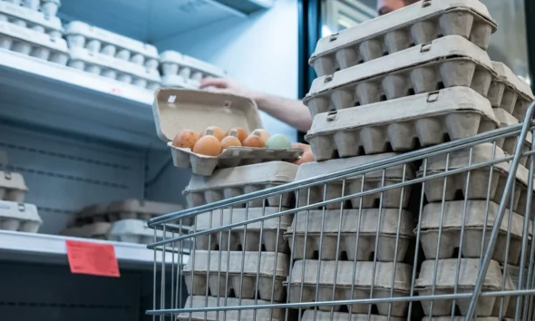 Kroger and Brookshire's eggs recalled over salmonella contamination risk