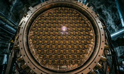 LZ dark matter detector photomultiplier tube array underground