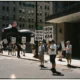 PECO workers strike picket line in Philadelphia heat