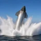 SpaceX Starship Flight 13 test launch splashdown Super Heavy engine failure