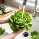 Michigan cyclosporiasis lettuce warning lifted record cases