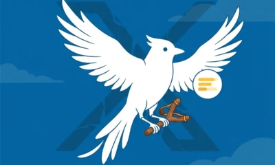 twitter.now operation bluebird launch with vera fact check