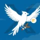 twitter.now operation bluebird launch with vera fact check