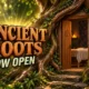 Ancient Roots Fort Wayne grounding center Ashlee Lusch