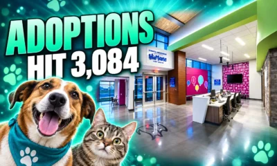 Humane Fort Wayne Critter Center record 3084 adoptions