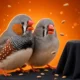 Coller Dolittle Challenge $10 million AI animal communication prize