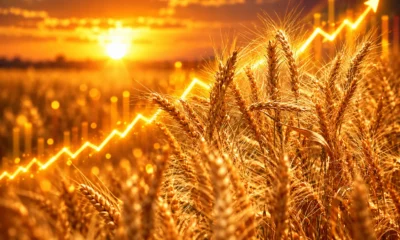 FAO Food Price Index hits 136.0 in September