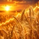 FAO Food Price Index hits 136.0 in September