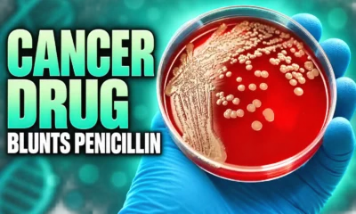 cancer drugs restore penicillin against MRSA Galway study