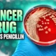 cancer drugs restore penicillin against MRSA Galway study