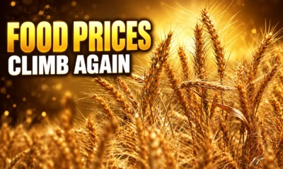 FAO food price index climbs to 136 points