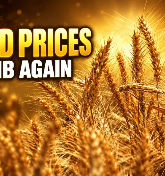 FAO food price index climbs to 136 points