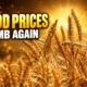 FAO food price index climbs to 136 points