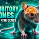 mouse forebrain clonal atlas STICR GABAergic lineages