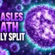 Pennsylvania Jefferson County adult measles death 2026