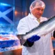 Scotland duty-free salmon India tariff cut